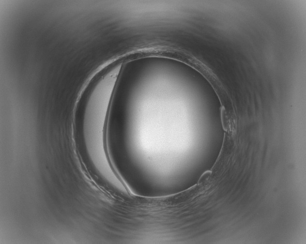 X0000062850724200601130920
