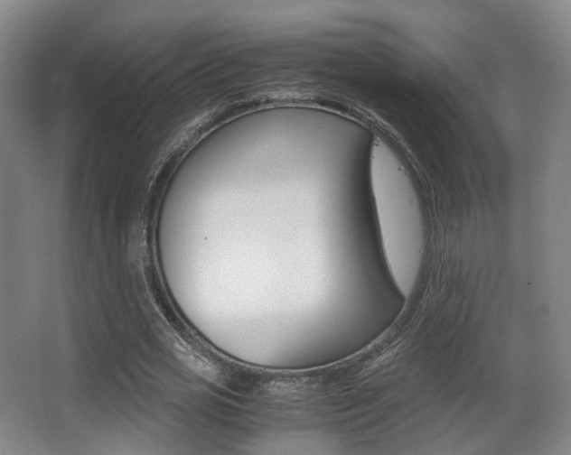 X0000062850725200601130920