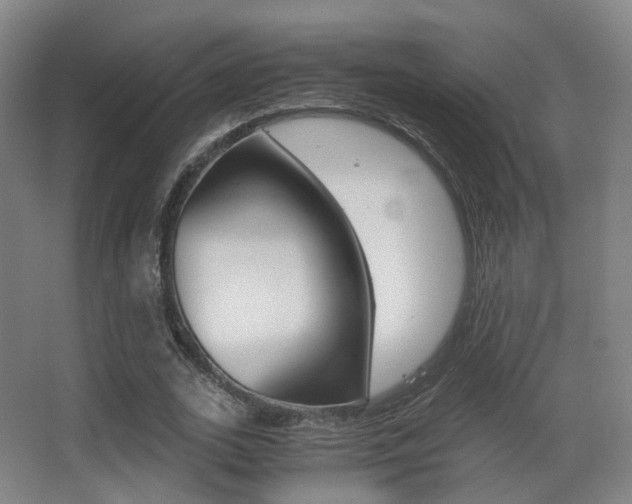 X0000062850727200601130920