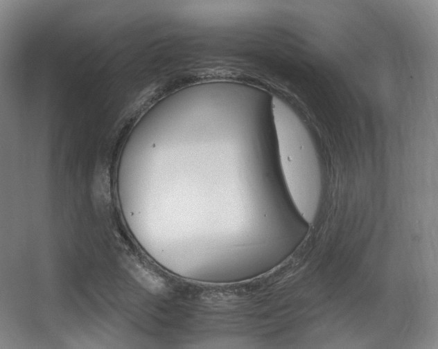 X0000062850729200601130920