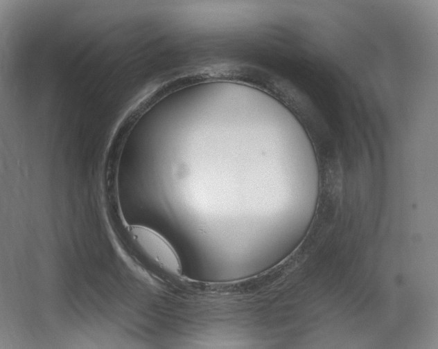 X0000062850730200601130920