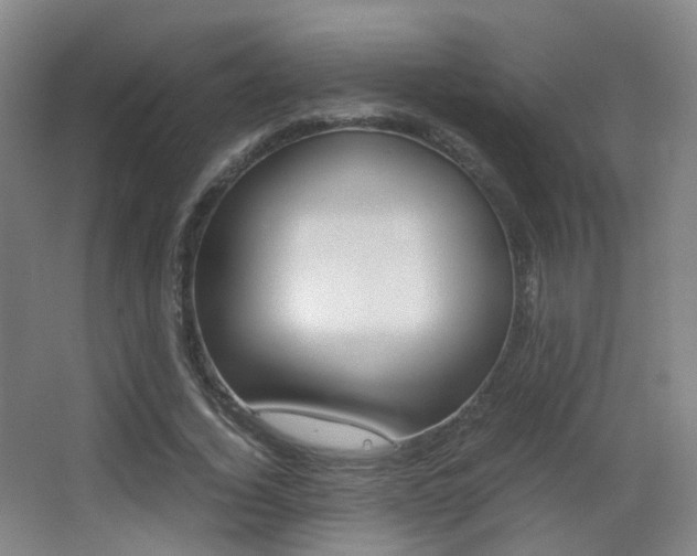 X0000062850732200601130920