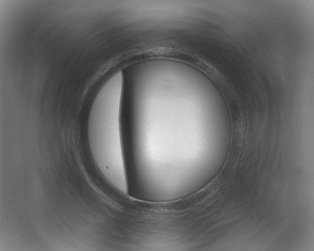 X0000062850734200601130920