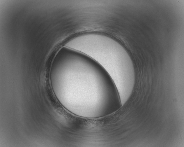 X0000062850736200601130920