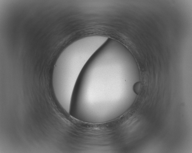 X0000062850737200601130920