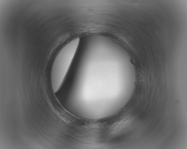 X0000062850738200601130920