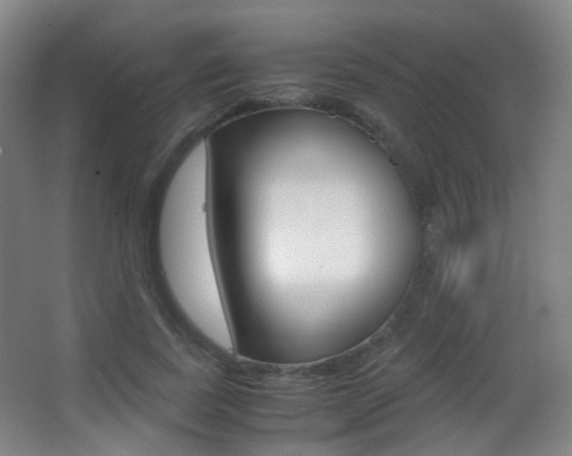 X0000062850739200601130920
