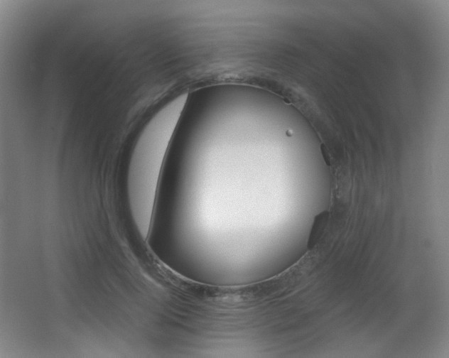 X0000062850740200601130920