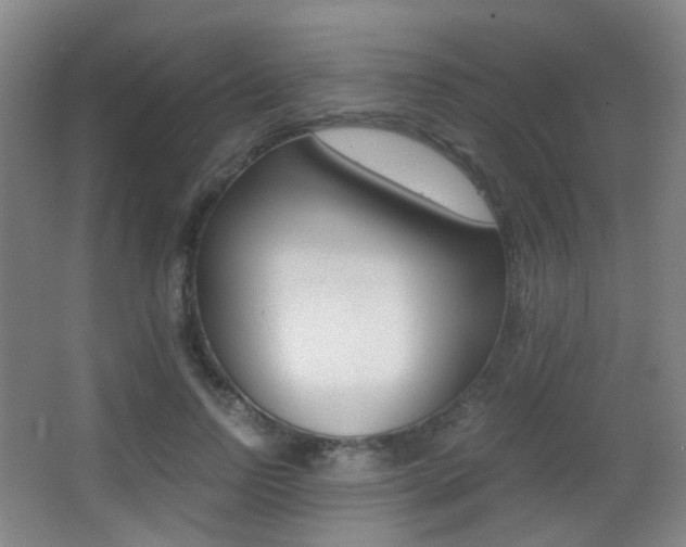 X0000062850742200601130920