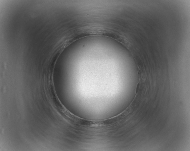 X0000062850744200601130920