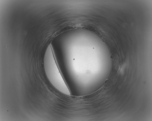 X0000062850747200601130920