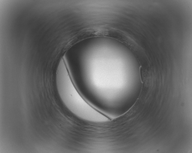 X0000062850748200601130920