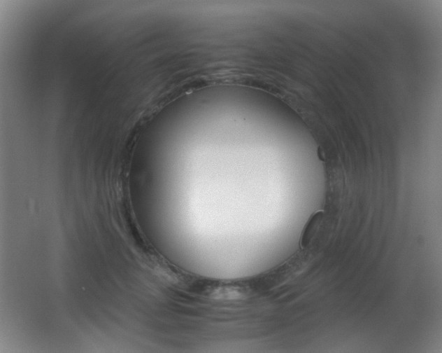 X0000062850751200601130920