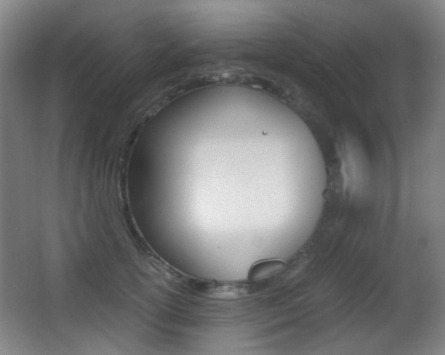 X0000062850754200601130920