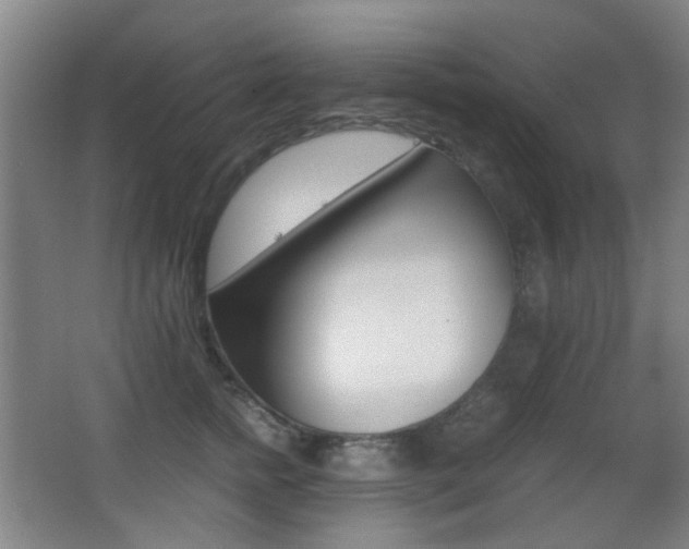 X0000062850758200601130921