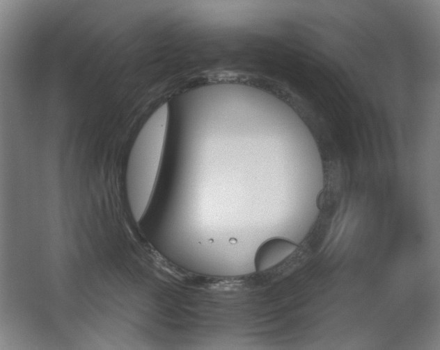 X0000062850761200601130921