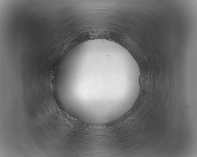 X0000062850770200601130920