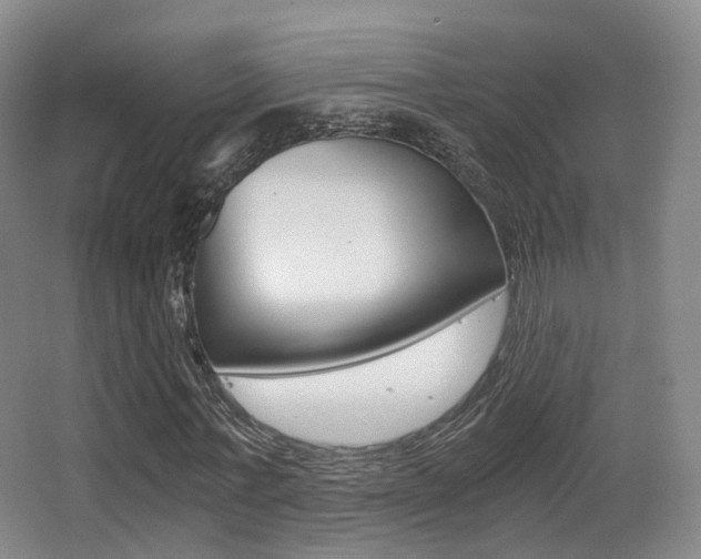 X0000062850771200601130920