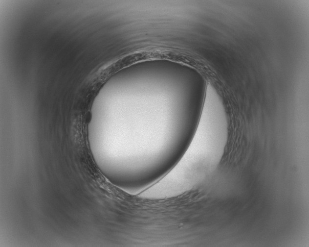 X0000062850773200601130920