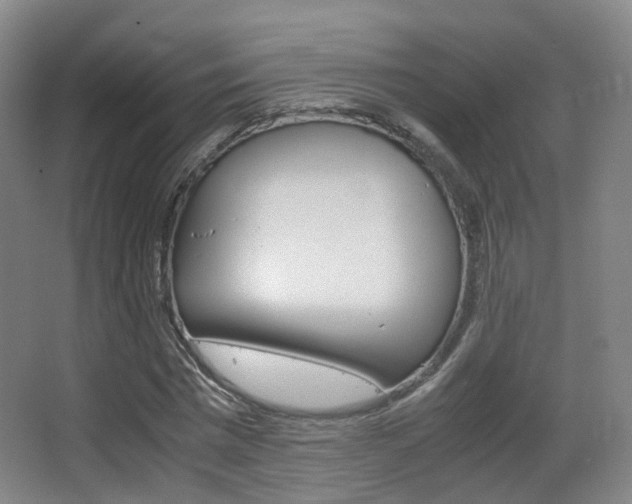 X0000062850777200601130920