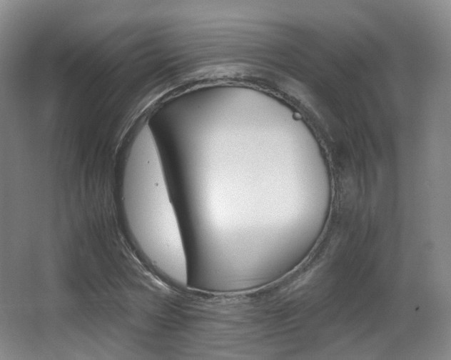 X0000062850778200601130920