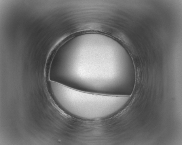 X0000062850780200601130920