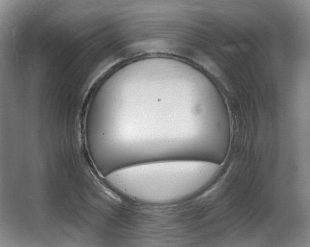 X0000062850782200601130920