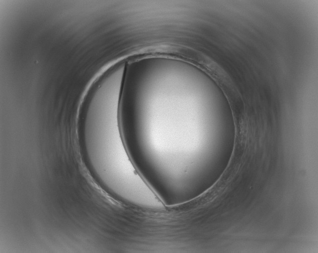 X0000062850784200601130920