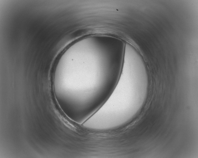 X0000062850787200601130920
