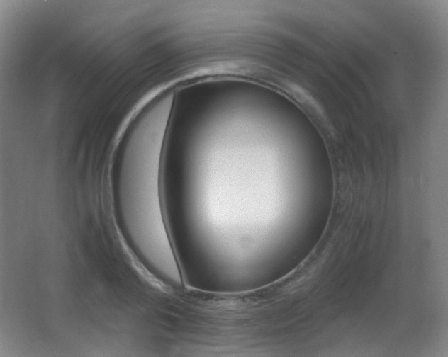 X0000062850792200601130919