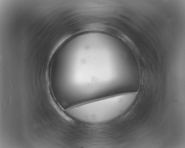 X0000062850796200601130919