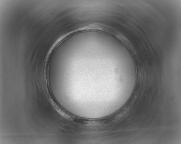 X0000062850800200601130919