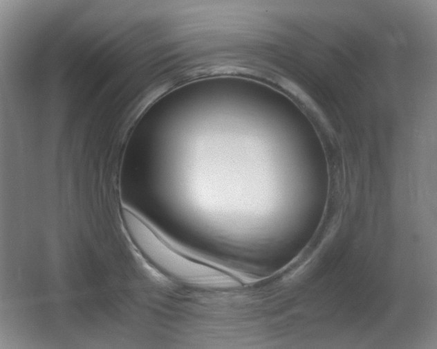 X0000062850801200601130919