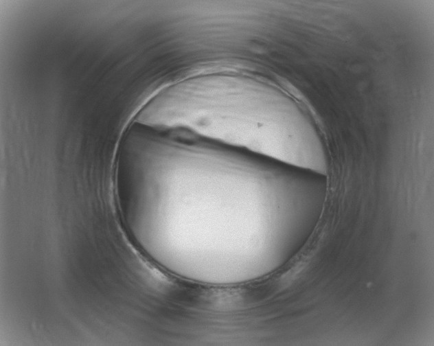 X0000062850802200601130919