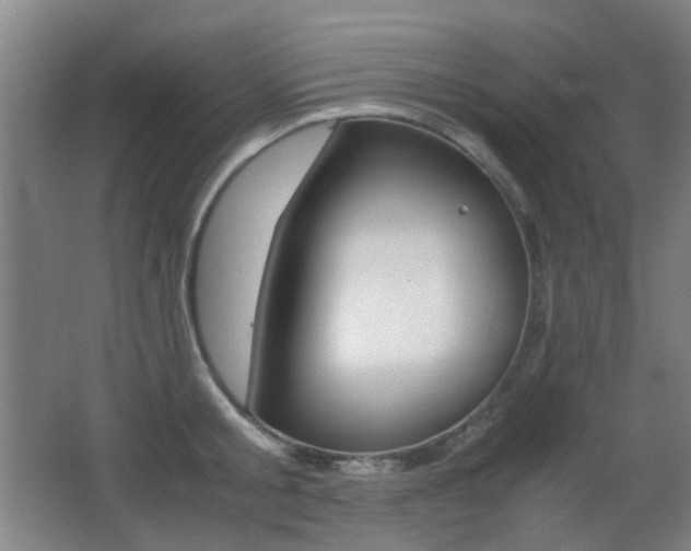X0000062850805200601130919