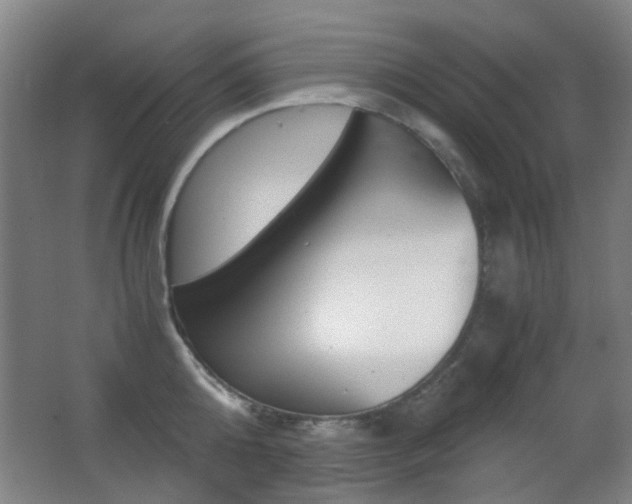 X0000062850808200601130919