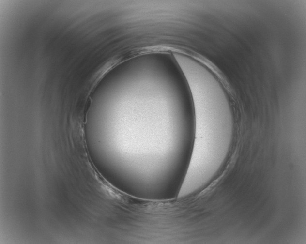 X0000062850809200601130919