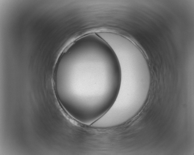 X0000062850813200601130919