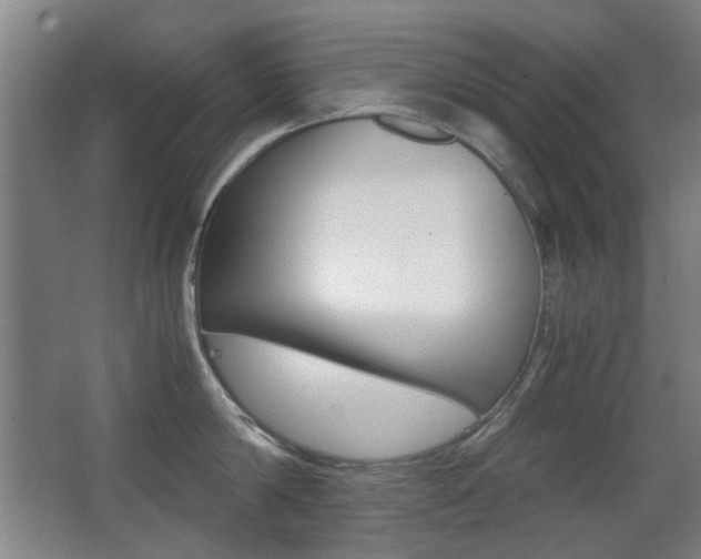 X0000062850814200601130919