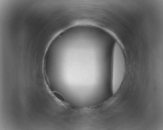X0000062850815200601130919