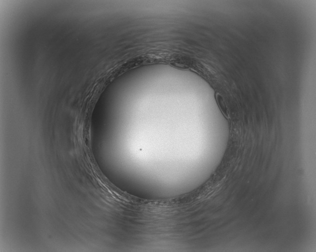 X0000062850817200601130918