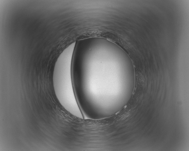X0000062850818200601130918