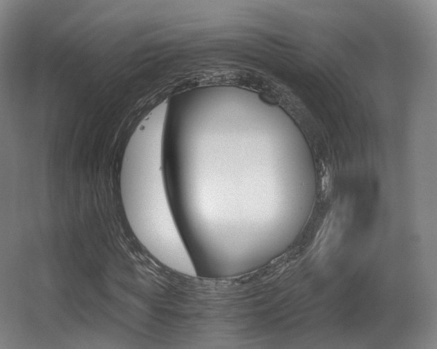 X0000062850819200601130918