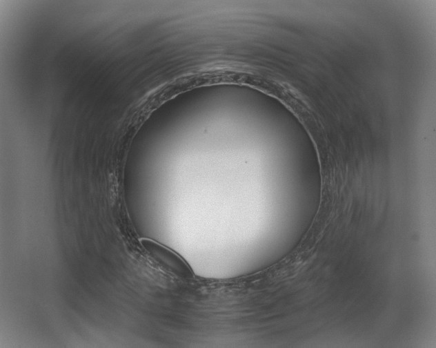 X0000062850821200601130918