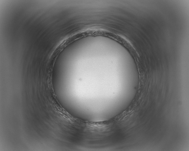 X0000062850823200601130918