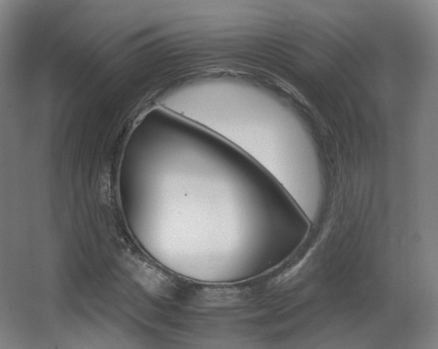 X0000062850825200601130918