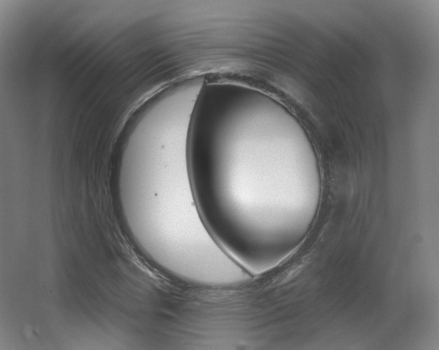 X0000062850826200601130918
