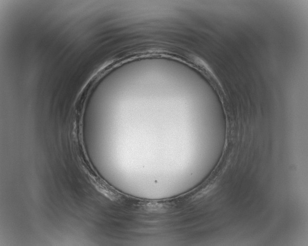 X0000062850827200601130918