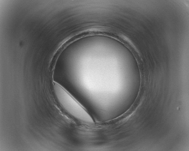 X0000062850829200601130918
