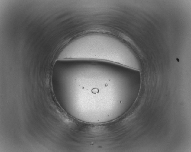 X0000062850833200601130918